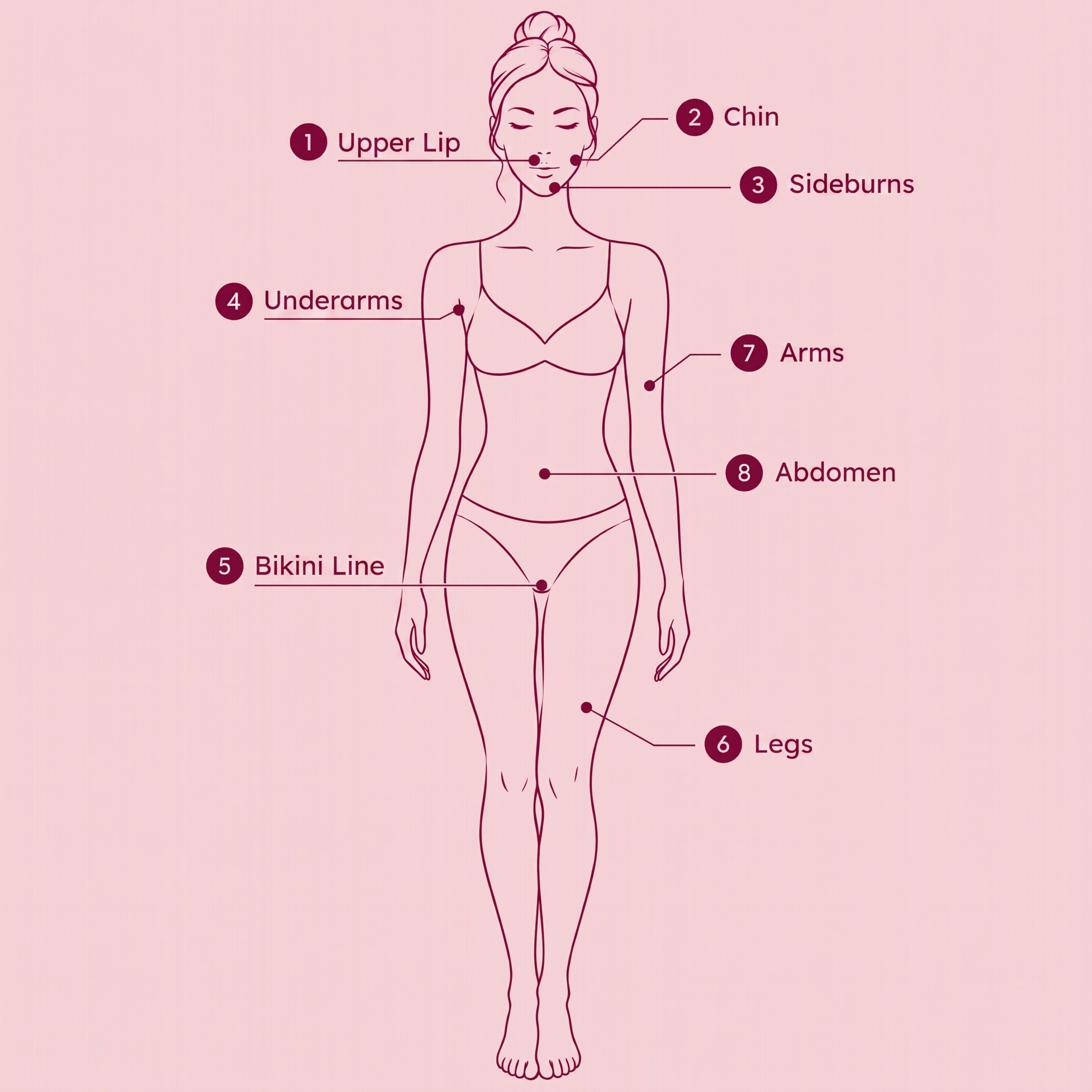 Body application map showing areas of use: upper lip, chin, sideburns, underarms, bikini line, legs, arms and abdomen
